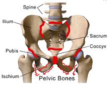 Bone Pain Pelvis | Safe4cure