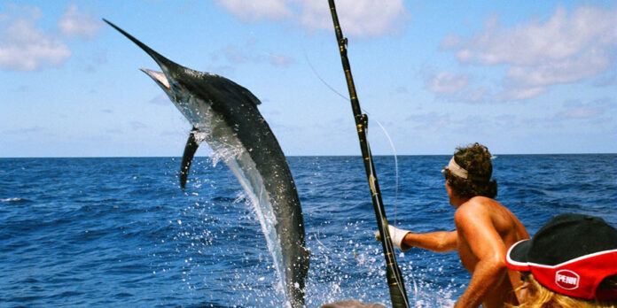 Unforgettable Fishing Charter Experience in Marathon with Jersey Key Sport Fishing